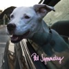 Cover art for Two Songs About Cars. Two Songs With Long Titles. - Single by Pet Symmetry