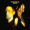 'Voices (Expanded Edition)' by Phantogram