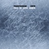 'Fall In Love Again - Single' by Phantogram
