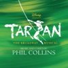 Cover art for Tarzan: The Broadway Musical (Original 2006 Broadway Cast) by Phil Collins