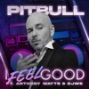 Cover art for I Feel Good (feat. Anthony Watts & DJWS) - Single by Pitbull