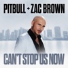 Cover art for Can't Stop Us Now - Single by Pitbull
