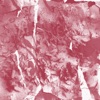Cover art for Sorry For Your Loss + Spring 2007 Demo by Planning for Burial