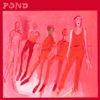 Cover art for Terrestrials - Single by Pond