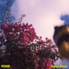 'Neon River - Single' by Pond