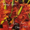 Cover art for Rice, Pasta and Other Fillers by Porridge Radio
