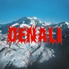 Cover art for Denali - Single by Portugal. The Man