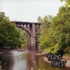 Cover art for Aging Forest - Single by Post Animal