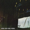 'How Do You Feel - EP' by Post Animal