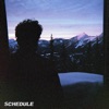 Cover art for Schedule - Single by Post Animal