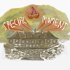 Cover art for Special Moment - Single by Post Animal