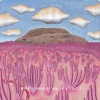 Cover art for When I Think of You in a Castle by Post Animal