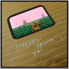 Cover art for Worried About You - Single by Post Animal