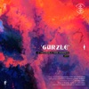 Cover art for Gurzle - Single by Psychedelic Porn Crumpets
