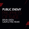 Cover art for Prophets Of Rage (Brian Green Remix) - Single by Public Enemy