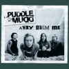 Cover art for Away From Me - Single by Puddle of Mudd