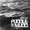 Cover art for Best Of by Puddle of Mudd
