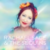 'Belong To You (feat. The Sequins & Will Wilde) - Single' by Rachael Sage