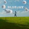 Cover art for Bluejay - Single by Riff Raff