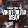 Cover art for What Do Rio Mean / Definition Of Rio - Single by Rio da Yung OG
