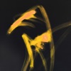 Cover art for Gaivotas - Single by Rival Consoles