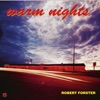 Cover art for Did You End Up with the One You Love? - Single by Robert Forster