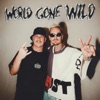 Cover art for World Gone Wild (feat. Sam Martin) - Single by Robin Schulz