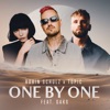 Cover art for One By One (feat. Oaks) - Single by Robin Schulz