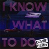 Cover art for I Know What To Do - DJWS Remix - Single by Robin Thicke
