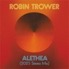 Cover art for Come and Find Me by Robin Trower