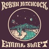 Cover art for Follow Your Money - Single by Robyn Hitchcock