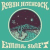 Cover art for Motion Pictures - Single by Robyn Hitchcock