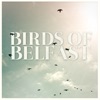 Cover art for Birds of Belfast - Single by Rose Cousins