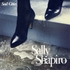 Cover art for Sad Cities by Sally Shapiro