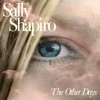 Cover art for The Other Days - Single by Sally Shapiro