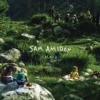 Cover art for Lily-O by Sam Amidon