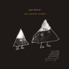 Cover art for The Following Mountain by Sam Amidon