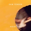Cover art for Hold Out - Single by Sam Fender