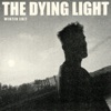 Cover art for The Dying Light (Winter Edit) - Single by Sam Fender