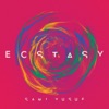 Cover art for Ecstasy by Sami Yusuf