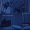 Cover art for Weird Environment - Single by San Fermin
