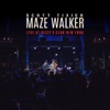 'Maze Walker (Live at Dizzy's Club New York) [feat. Glenn Zaleski, Luques Curtis & Allan Mednard] - Single' by Scott Tixier