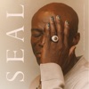 'All I Know Is Now / Kiss from a Rose (Seal's Version) - Single' by Seal