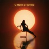 Cover art for U Meni Je Sunce - Single by Senidah