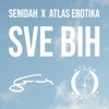 Cover art for Sve Bih - Single by Senidah