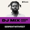 Cover art for Pride 2021 (DJ Mix) by serpentwithfeet