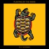 Cover art for Planting by the Signs by S.G. Goodman
