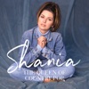 Cover art for Shania: The Queen Of Country Pop by Shania Twain