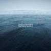 Cover art for The New World by Shearwater