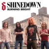 Cover art for Burning Bright - Single by Shinedown